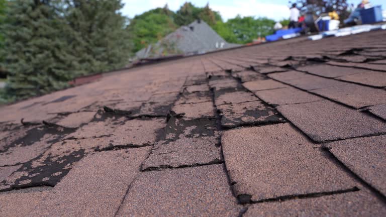Best Green or Eco-Friendly Roofing Solutions  in Tioga, TX